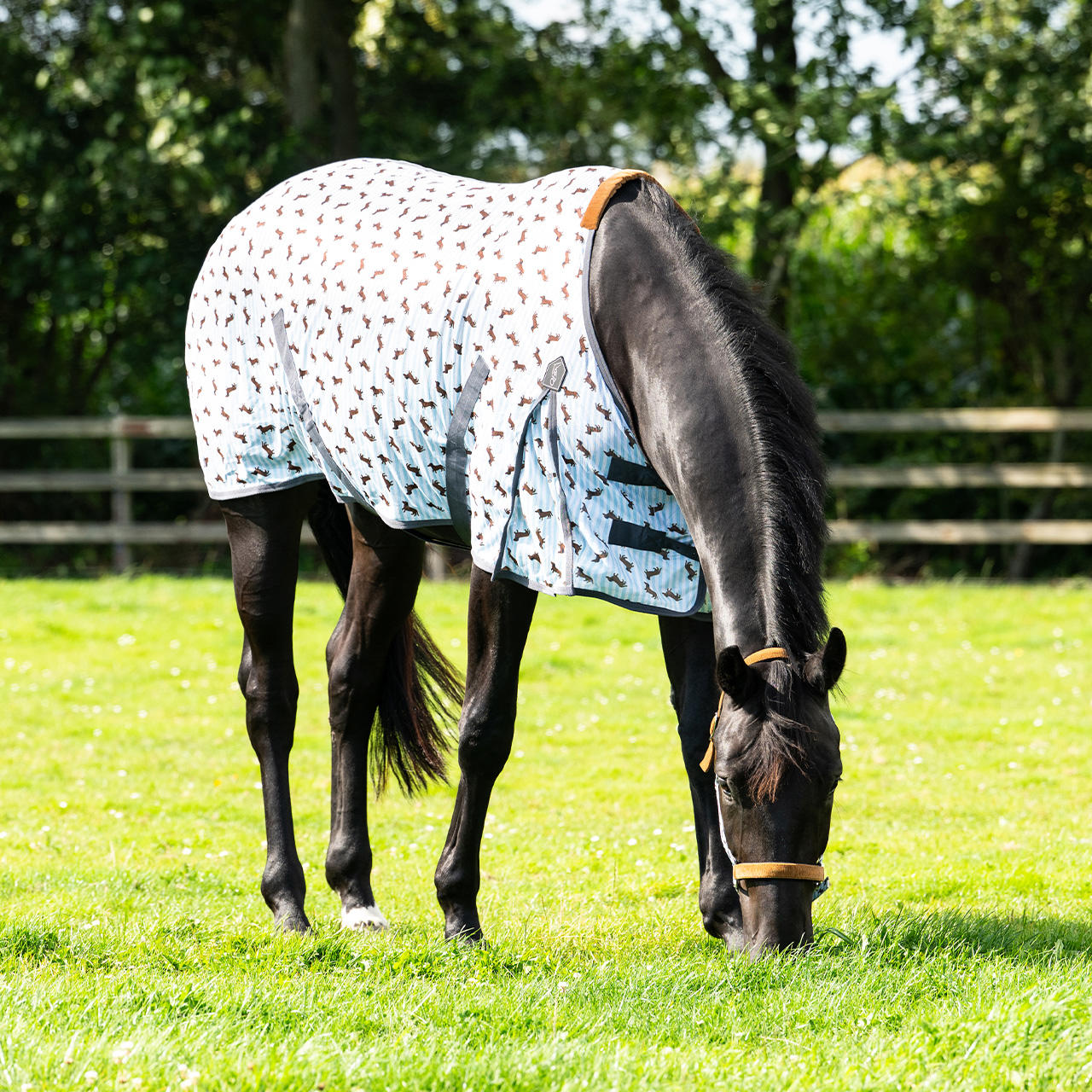 QHP Coperta antimosche Stable Buddy