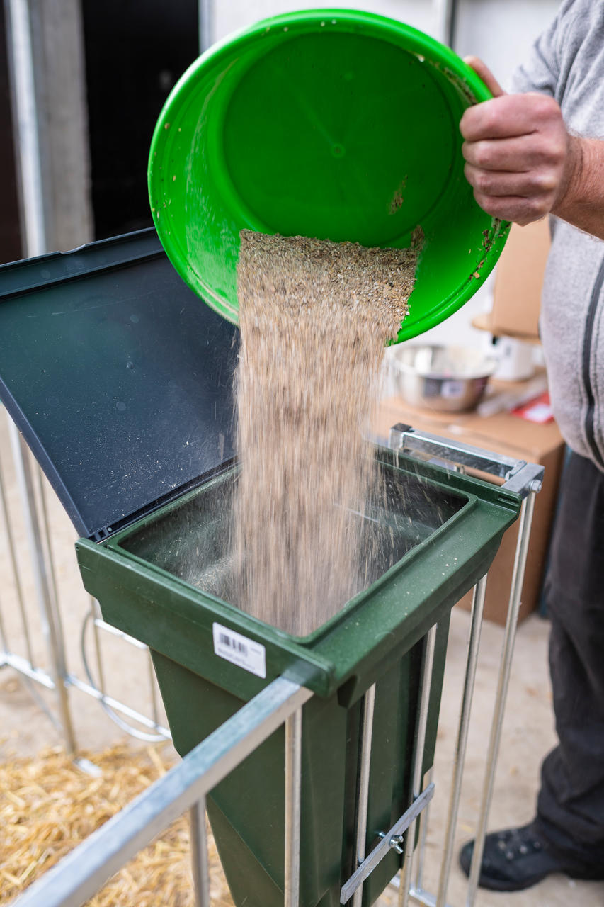 Kerbl Futterschale 6 Ltr. Kunststoff