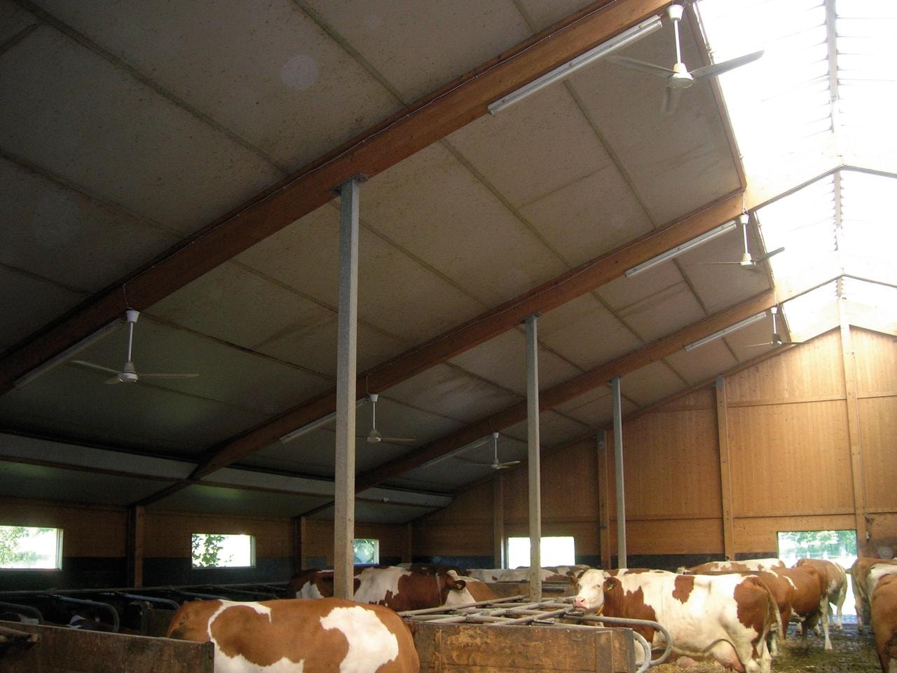 Ventilatore da soffitto a pale diritte, 142 cm