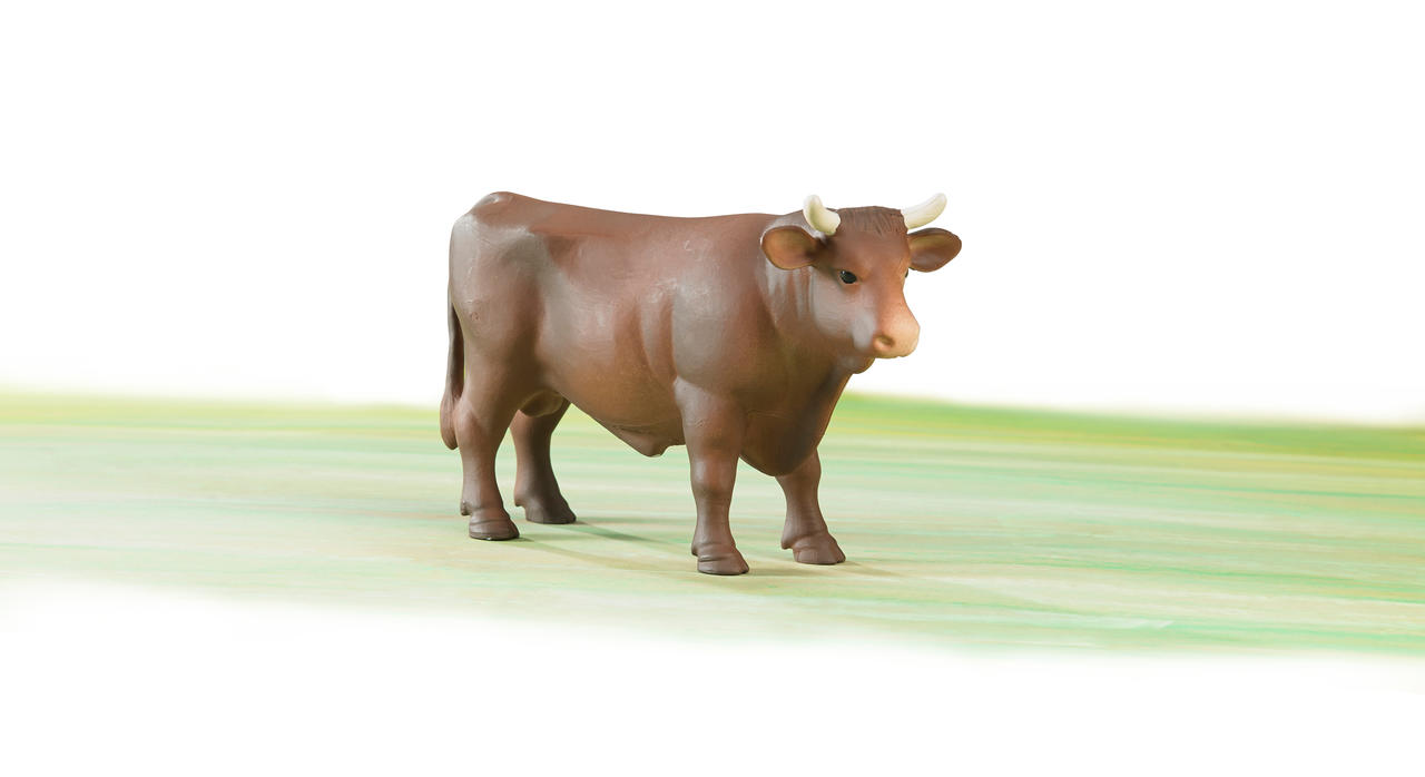 Bruder Toro