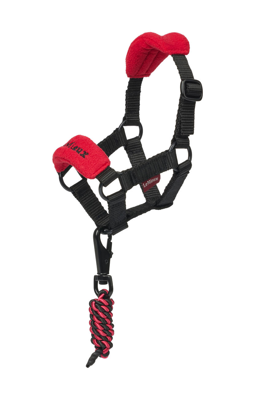 LeMieux Cavezza Toy Pony Vogue LeMieux Cavezza Toy Pony Vogue