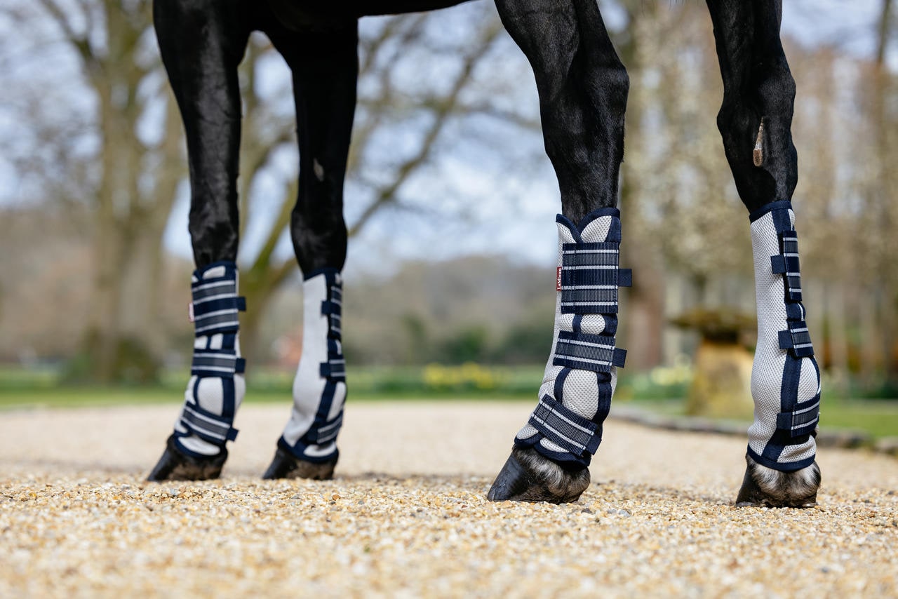 LeMieux Protezioni antimosche Arika in mesh, set da 4