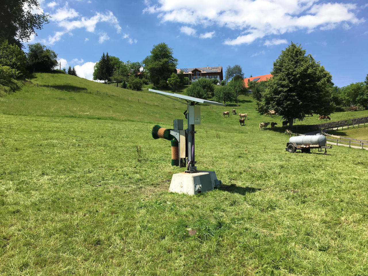 Schurr Kuhbürste PV-Anlage Typ D22