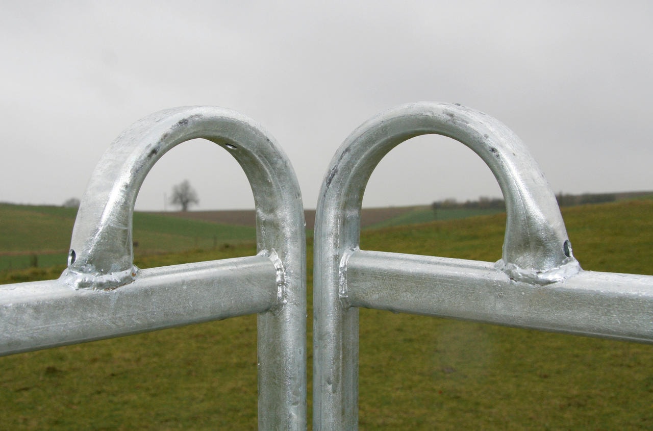 WAHL-FENCE Panel 3 m Länge, 1,7 m Höhe, Standard