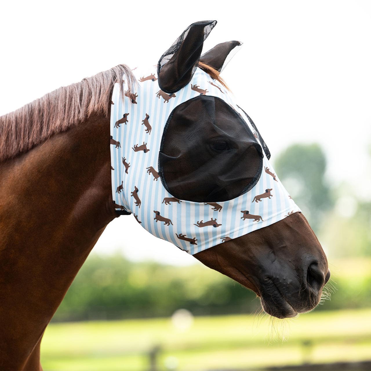 QHP Fliegenschutzmaske Stable Buddy
