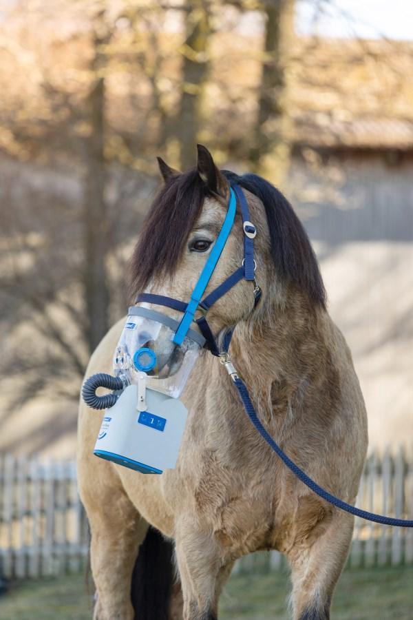 Hippomed AirOne Flex inkl. Warmblutmaske
