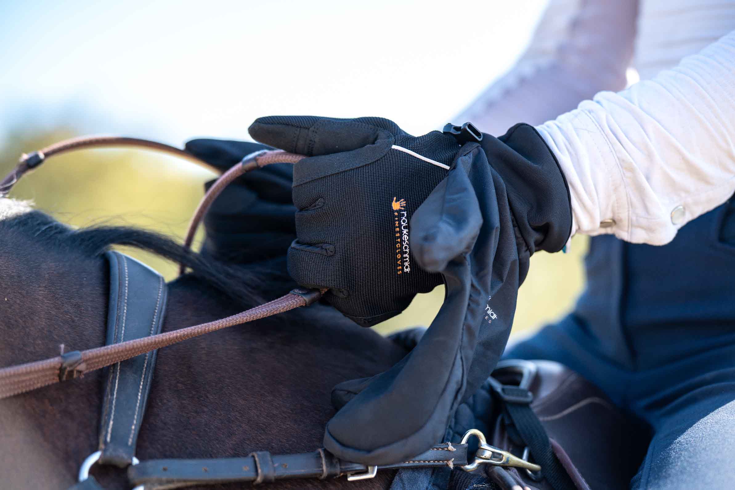 Reithandschuhe – Schutz, Grip & Komfort beim Reiten Reithandschuhe – Schutz, Grip & Komfort beim Reiten