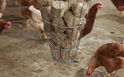 mobil_Geflgel_Ergnzungsfutter