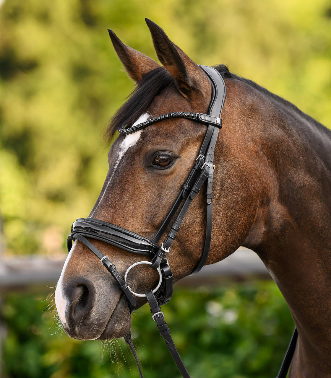 Waldhausen Frontalino X-Line Shine, nero