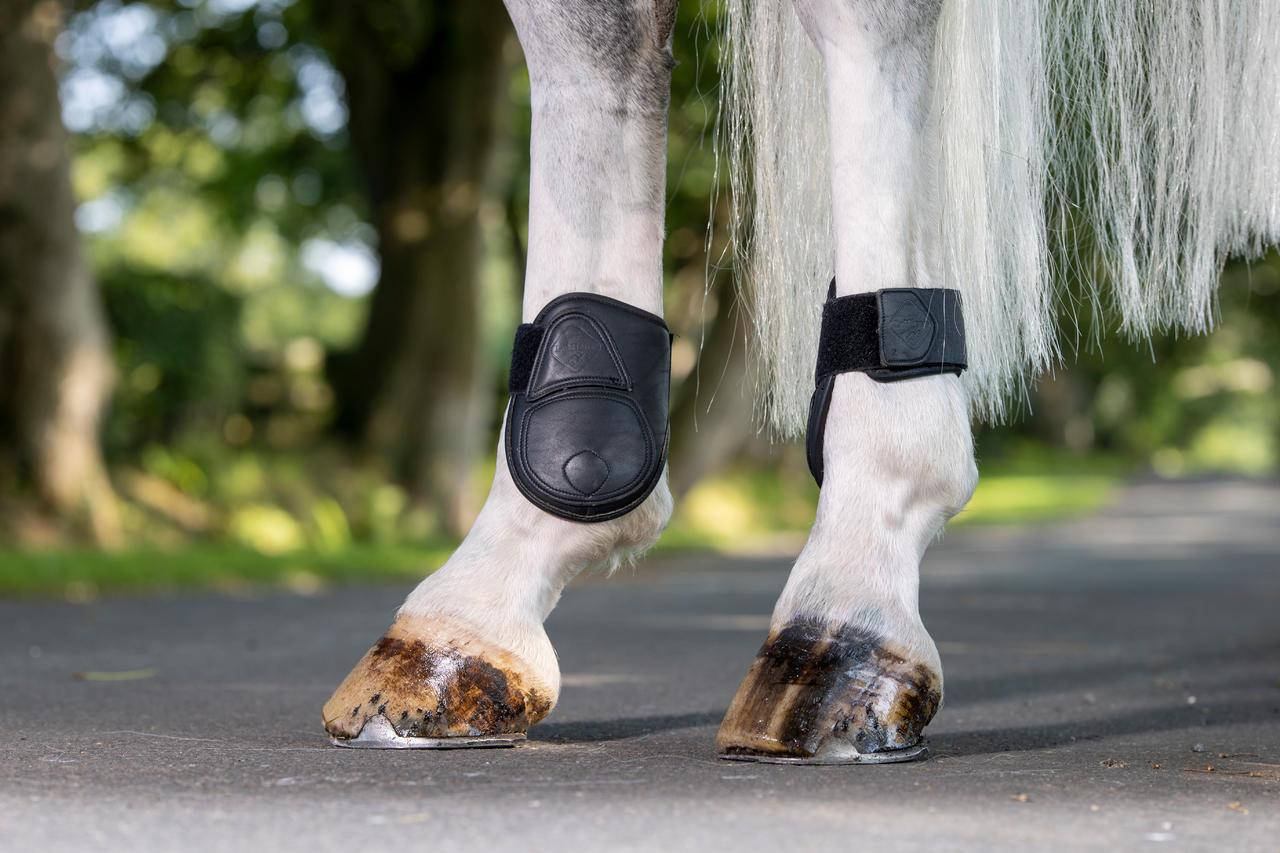 LeMieux Stivali Capella Fetlock in pelle
