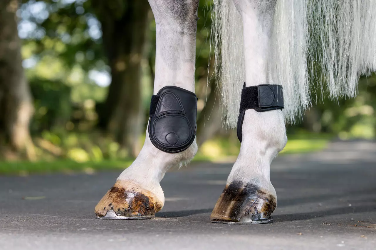 LeMieux Capella Leather Fetlock Boots