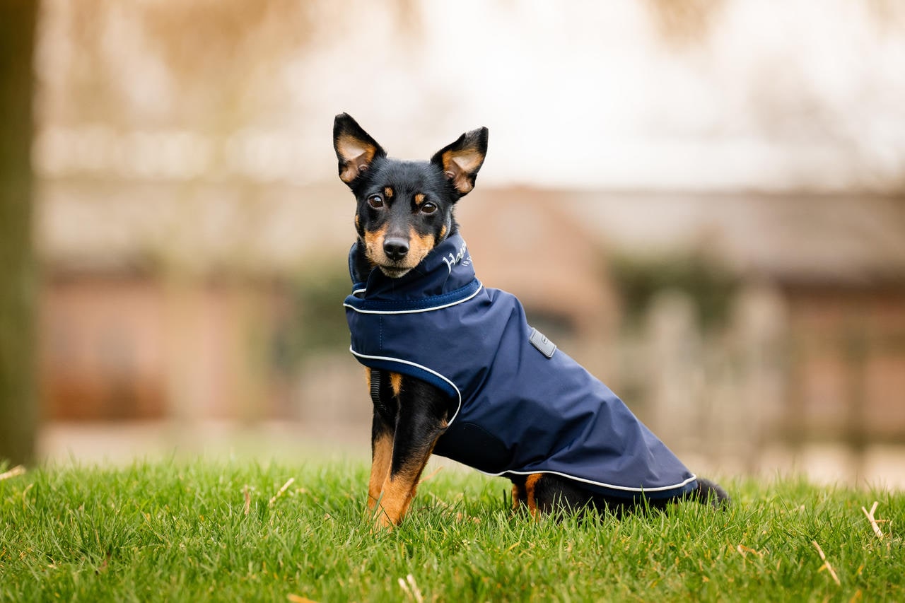 Horseware Impermeabile per cani firmato