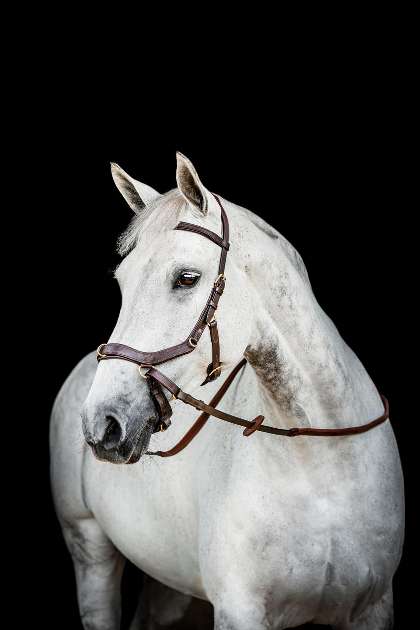 Horseware Briglia multiuso Micklem 2 Horseware Briglia multiuso Micklem 2