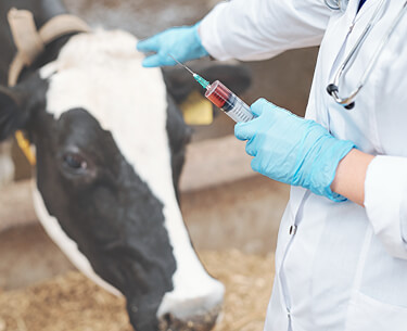 Veterinärartikel