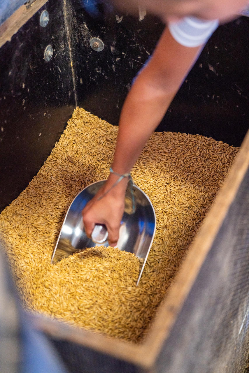 Kerbl Paletta dosatrice con manico interno 2000 g