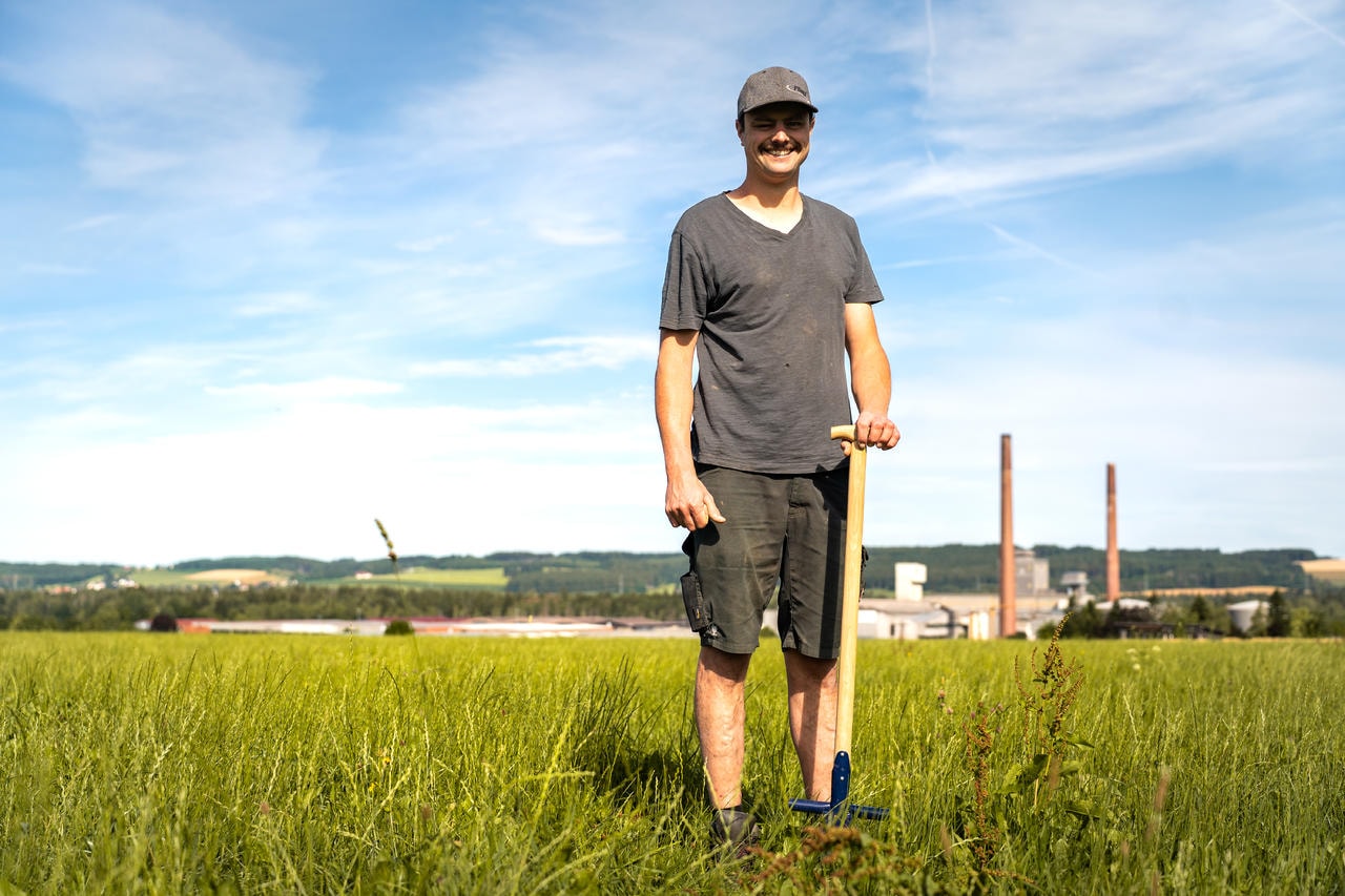 WAHL-FENCE Estirpatore per infestanti
