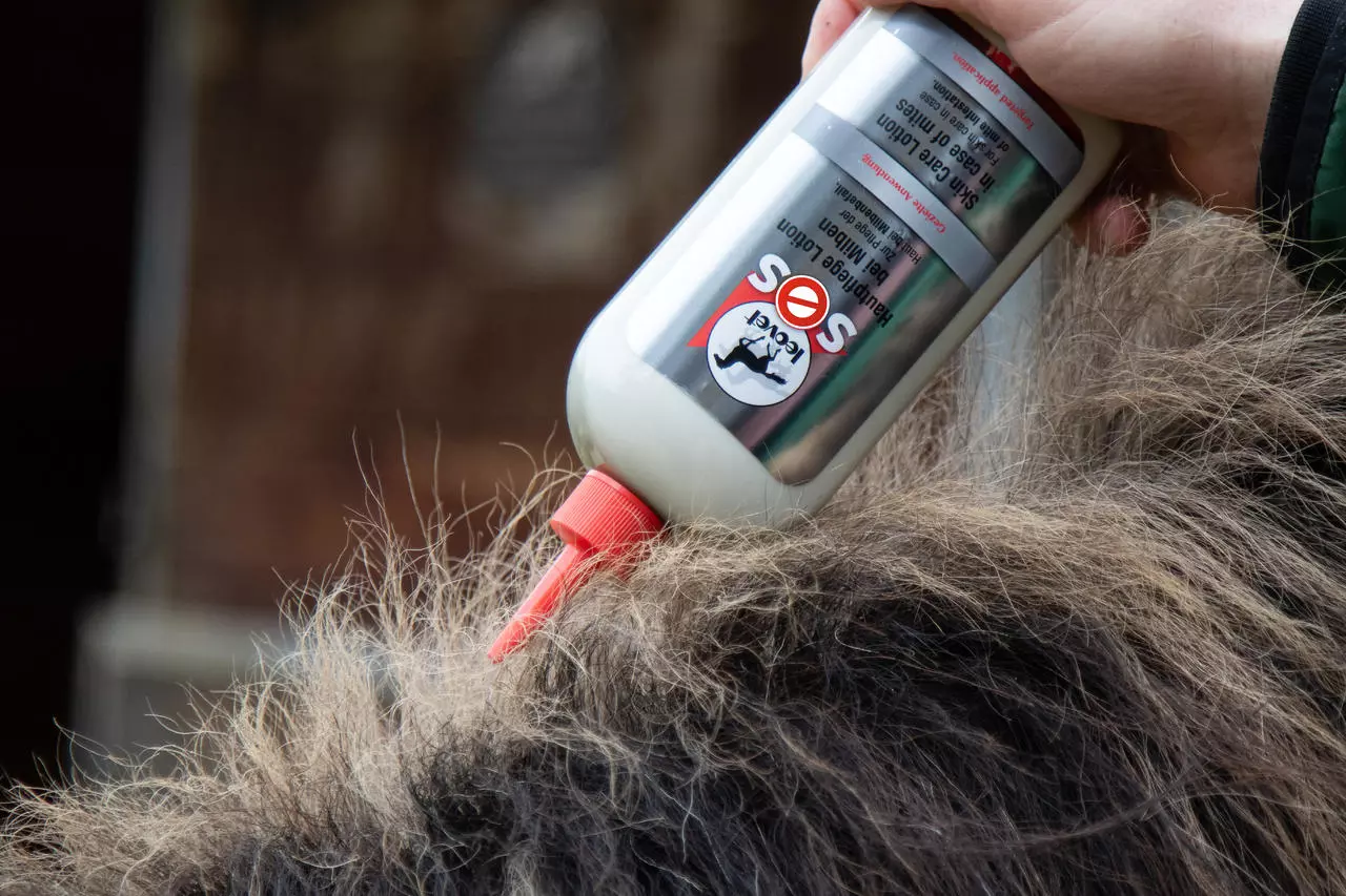 leovet SOS Hautpflege Lotion