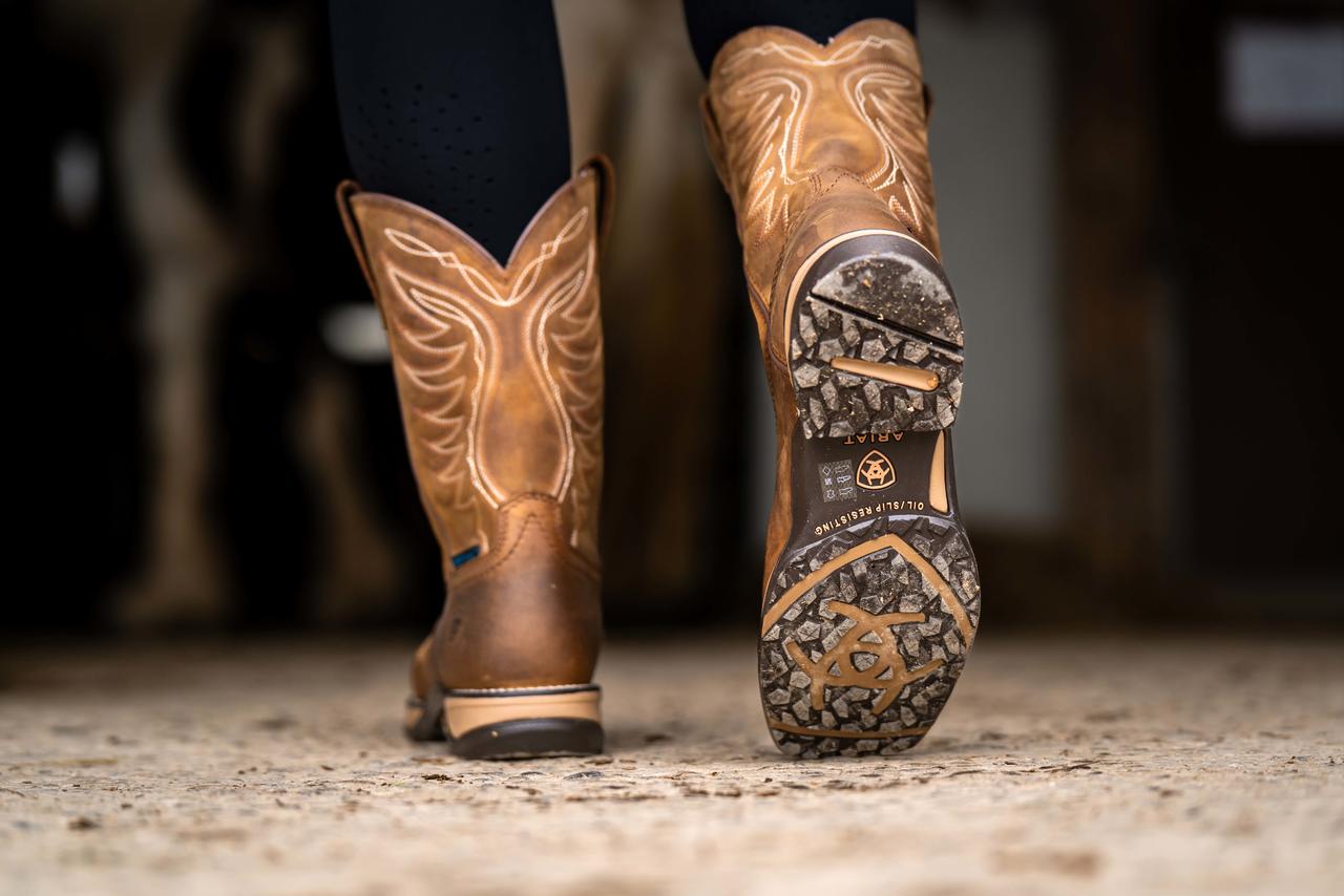 ARIAT Anthem H2O