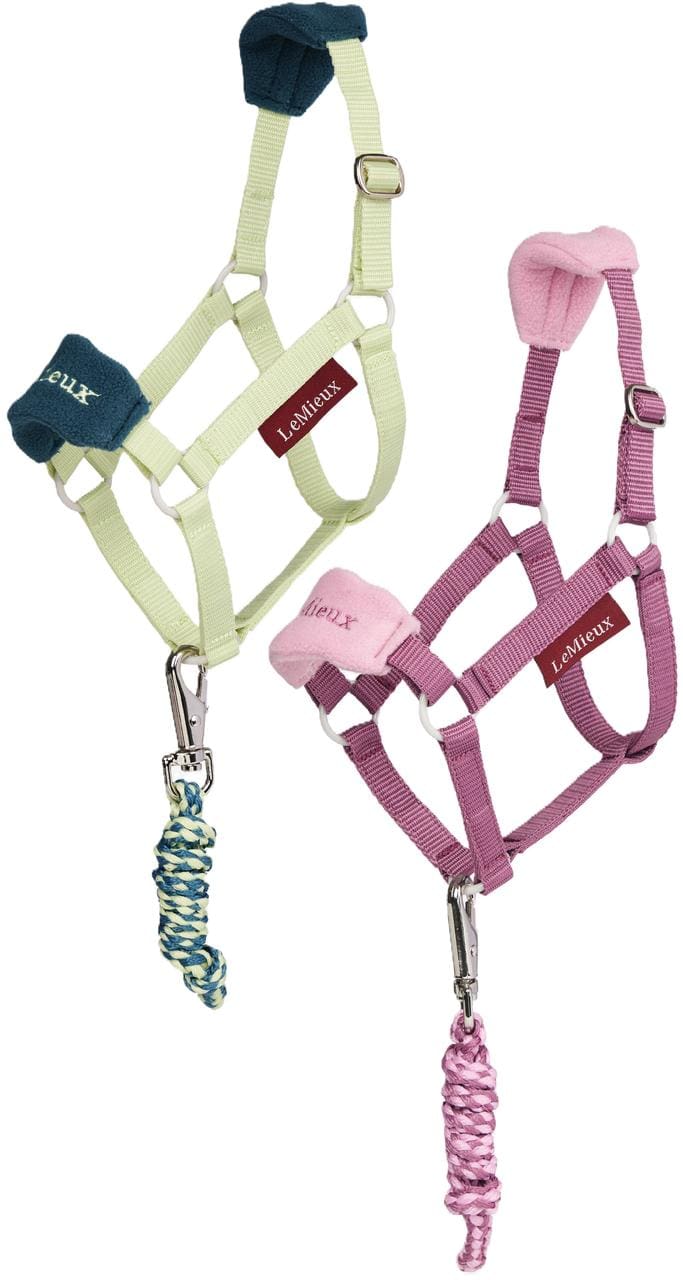 LeMieux Hobby Horse Vogue licol et longe de présentation