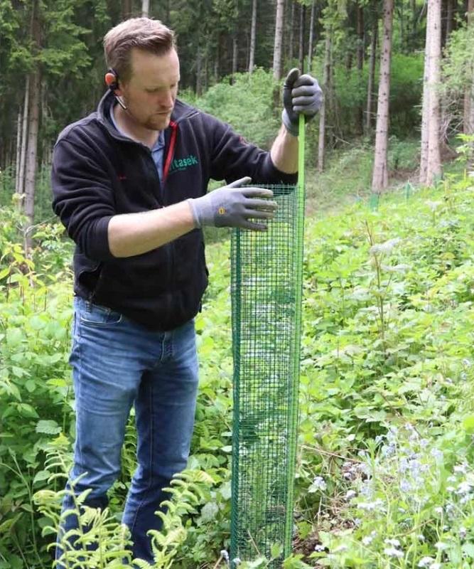 witasek Baumschutzgitter Freiwuchs 300, 120cm
