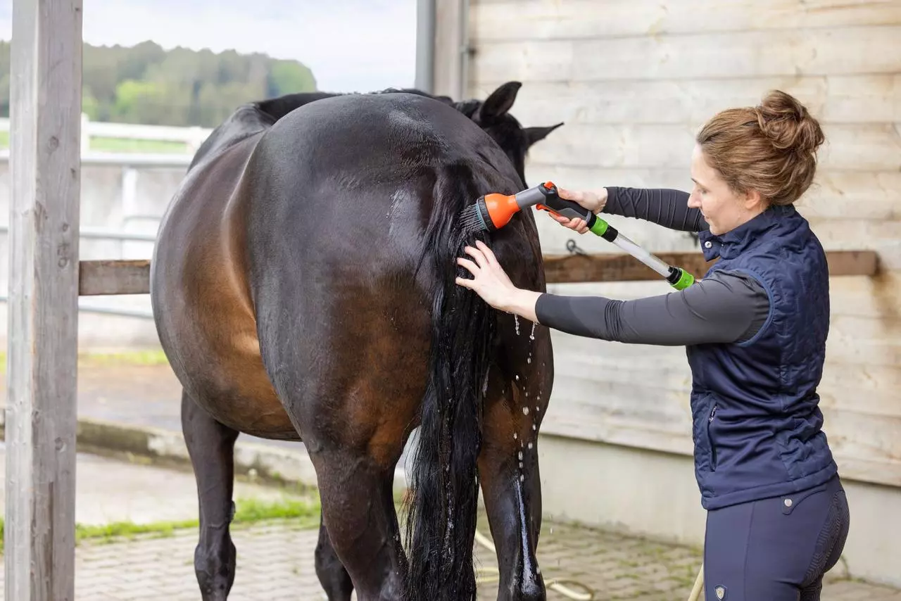 MagicBrush Pferde-Salzdusche Starterset