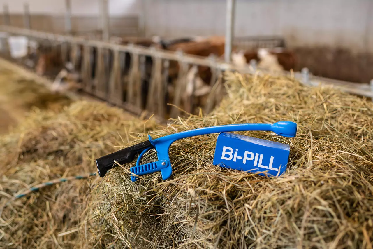 Vuxxx Bi-PILL® - Packung mit 20 x Pillen à 9 g