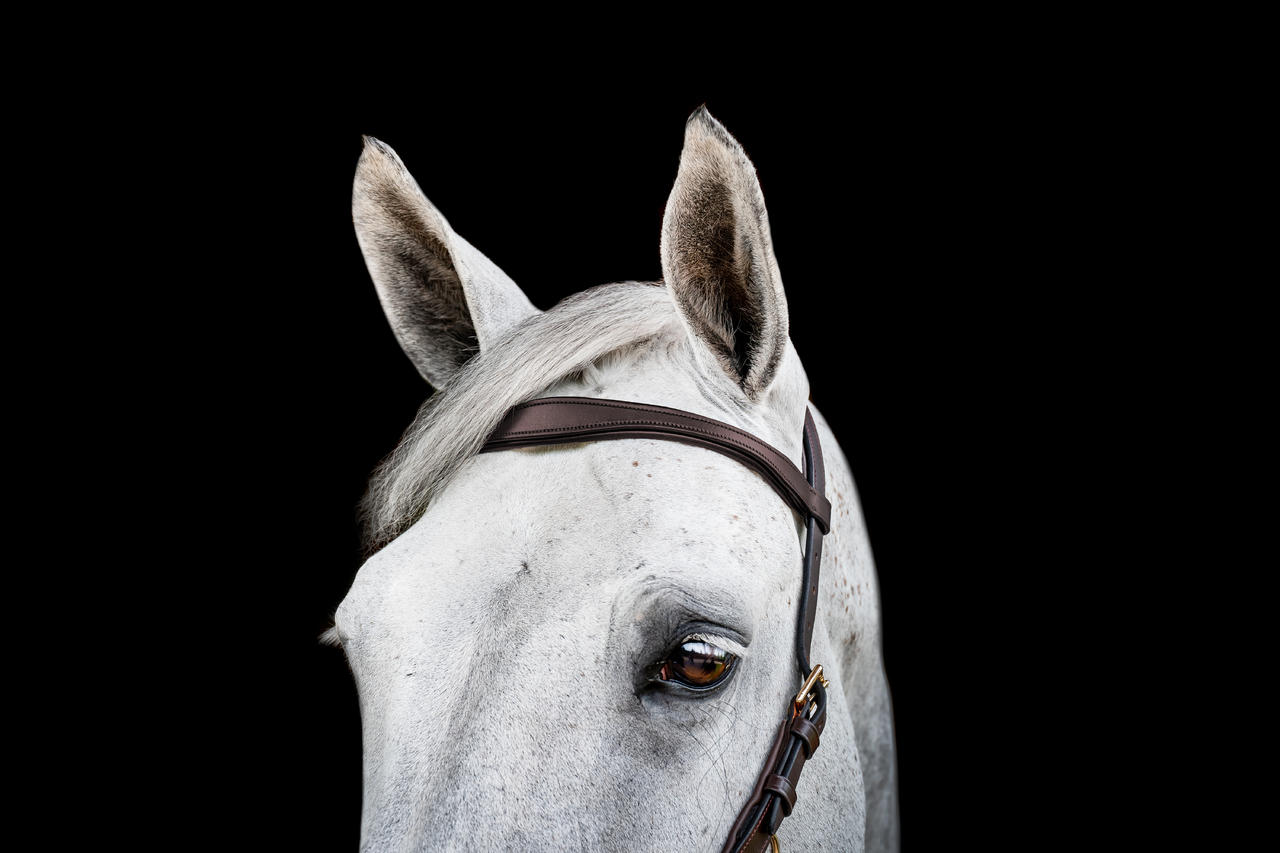 Horseware Briglia multiuso Micklem 2
