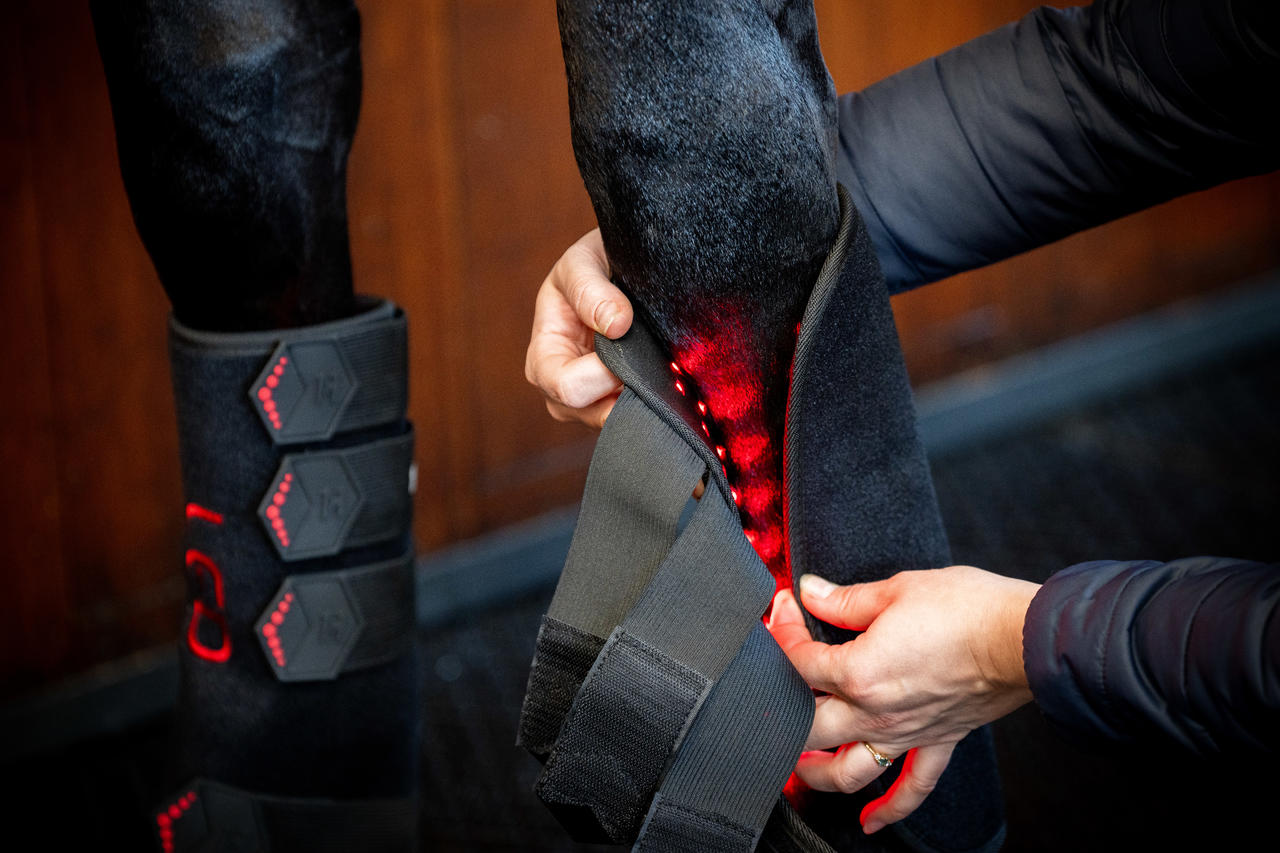 Horseware Guêtre de Thérapie par Lumière Rouge LED