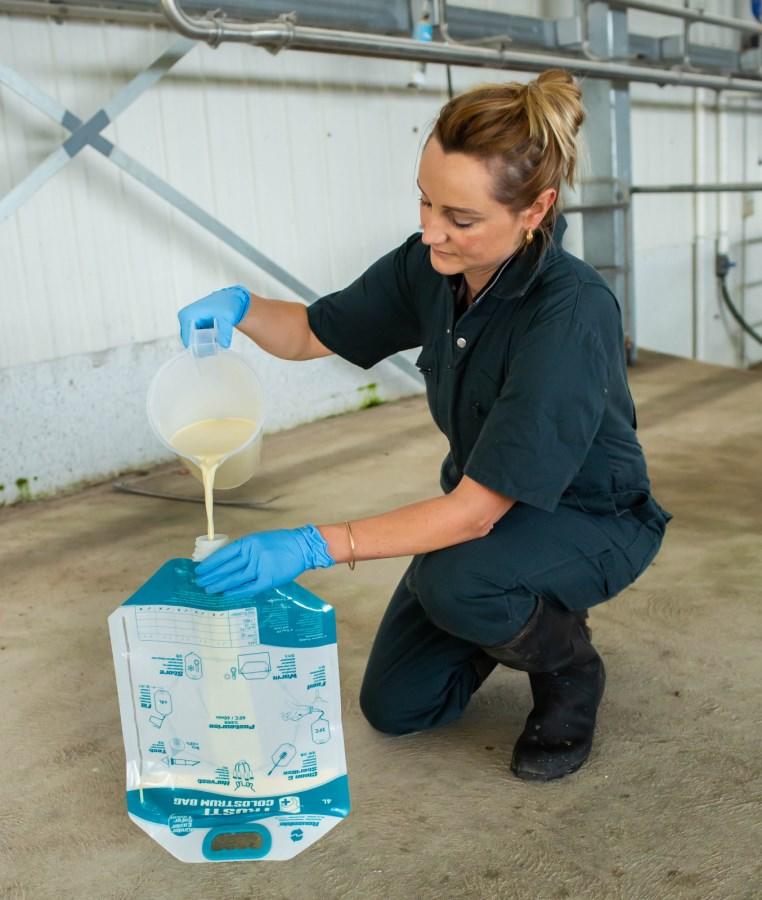 Shoof Trusti Colostrum Bags