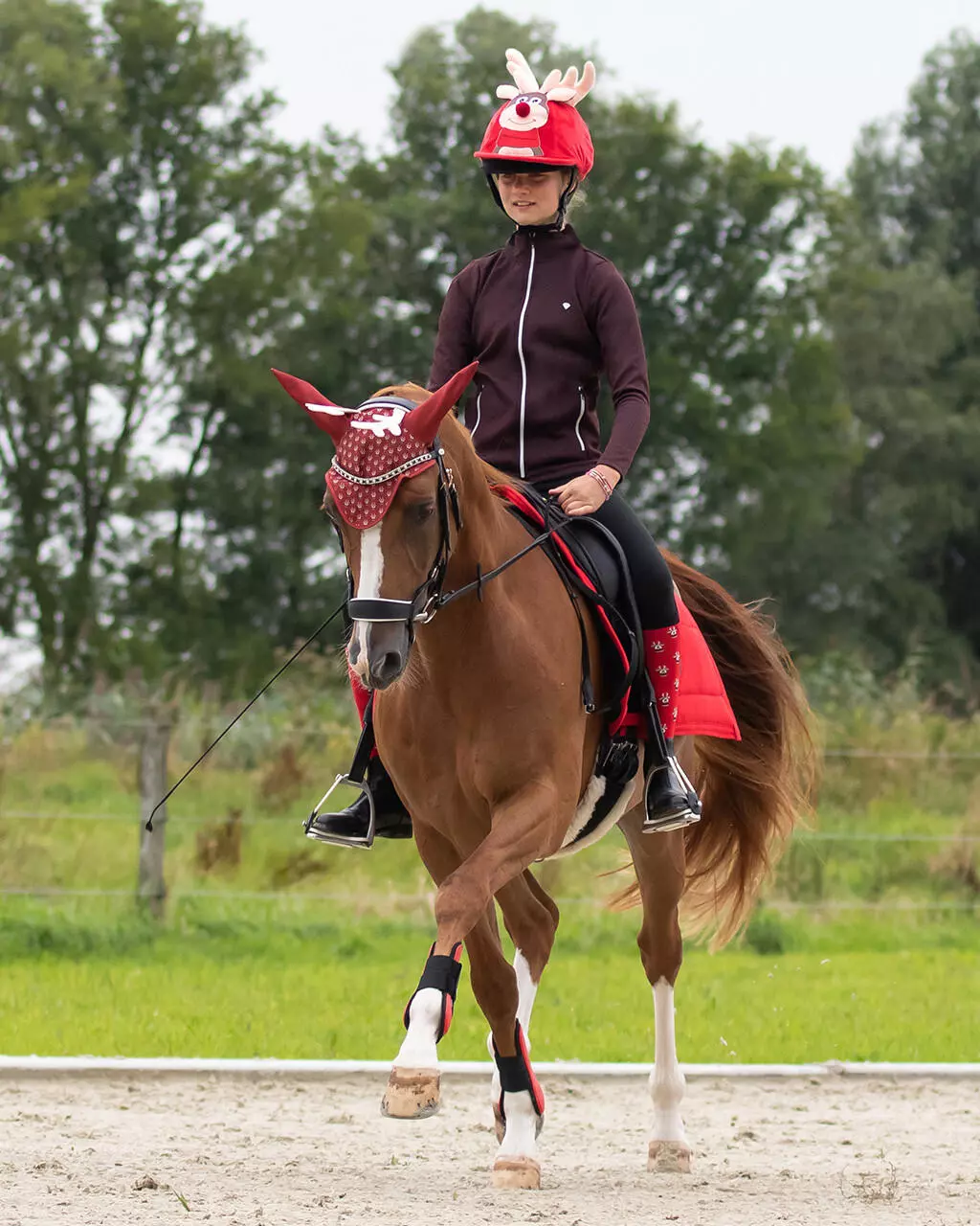 QHP Reithelm-Überzug Rudolf