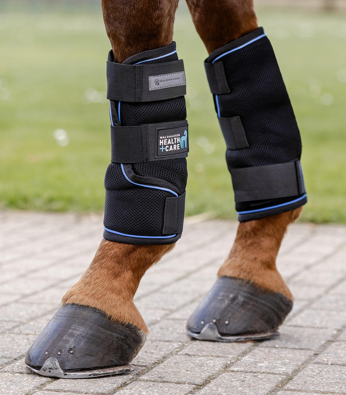Waldhausen Health + Care Guêtres Ice-Layer, par paire