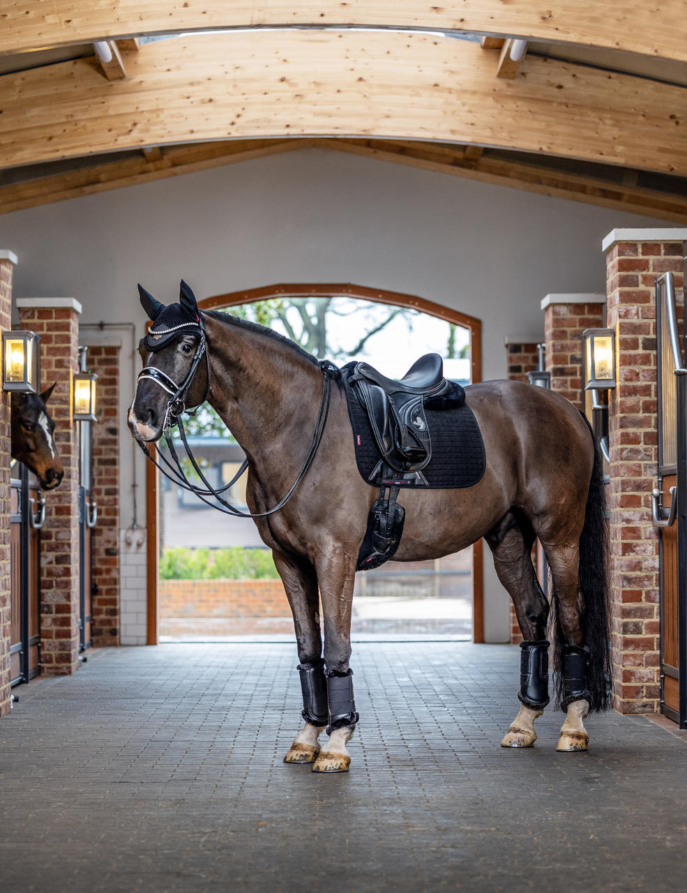 LeMieux Tapis de selle Square Dressage en suédine