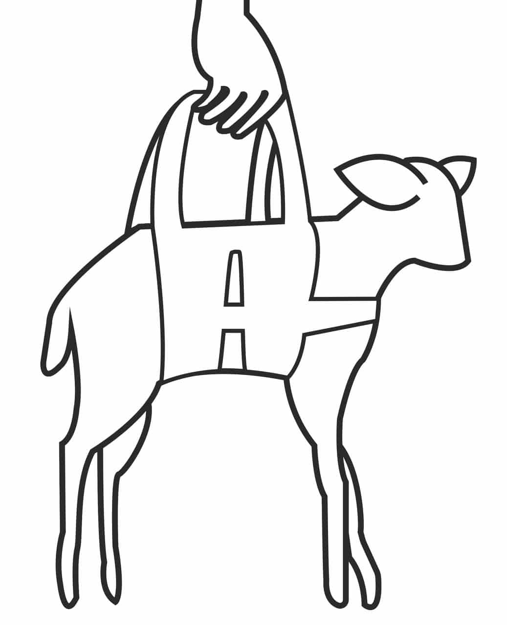 Kerbl Harnais de pesée pour agneaux