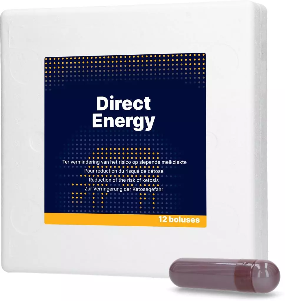 Hofman Animal Care Direct Energy Bolus - 12 Stück (à 70g) Hofman Animal Care Direct Energy Bolus - 12 Stück (à 70g)