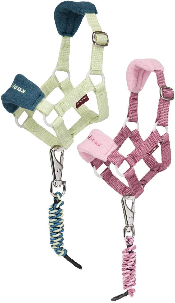 LeMieux Licol et longe de présentation Toy Pony Vogue LeMieux Licol et longe de présentation Toy Pony Vogue