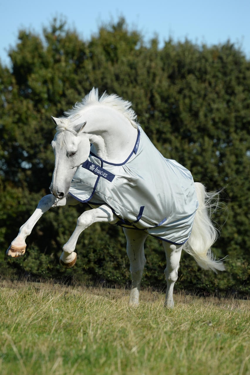 Bucas Power Turnout Light 0g Big Neck