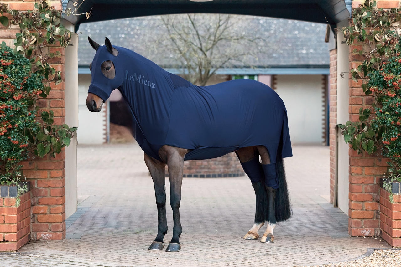 LeMieux Stretch Show Rug LeMieux Stretch Show Rug