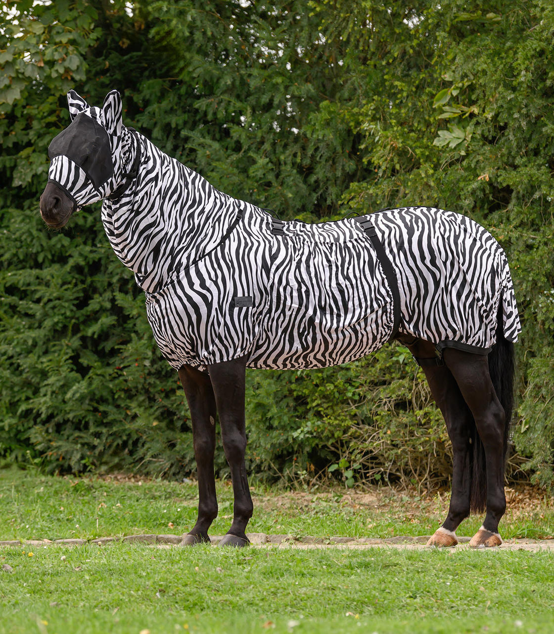 Waldhausen Ekzemerdecke Zebra Premium