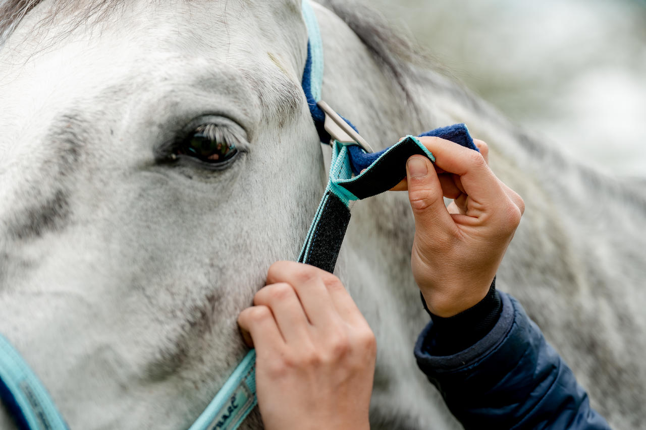 Horseware Collare di sicurezza sul campo