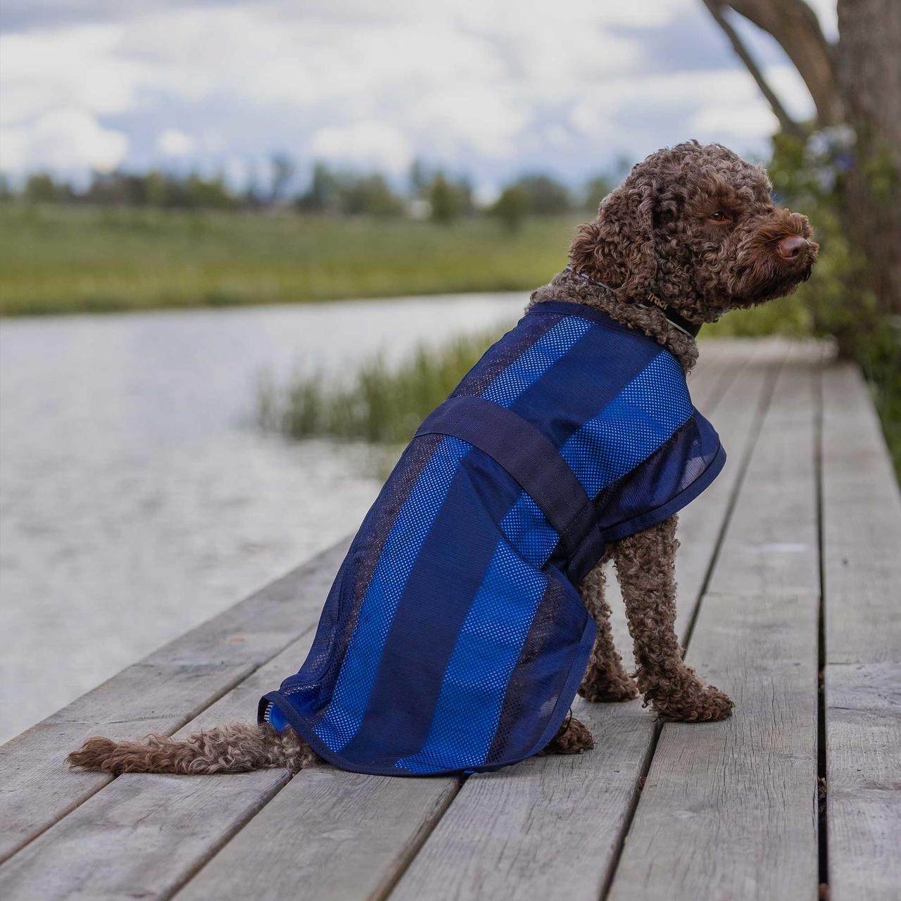 Cool on Track Cooling Hundemantel 2.0