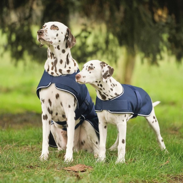 Waldhausen Regendecke für Hunde