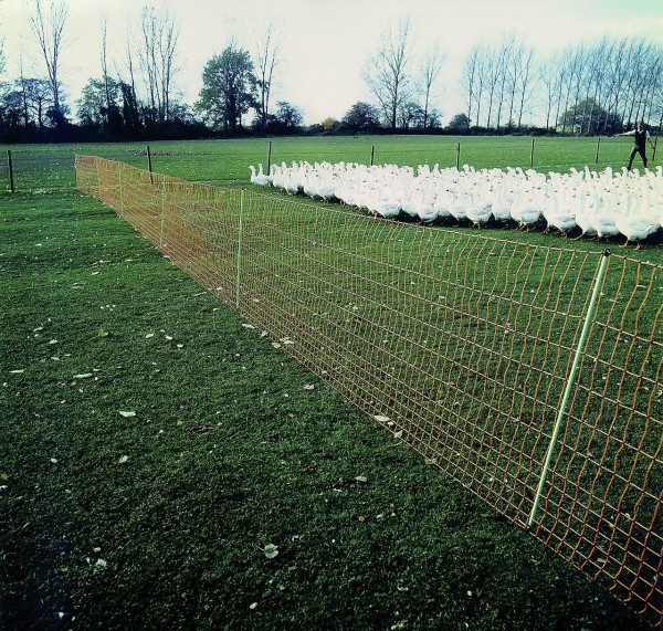 Geflügelzaun Hühnerzaun Höhe 3,00 m Meterware grün Maschenweite 5 cm 