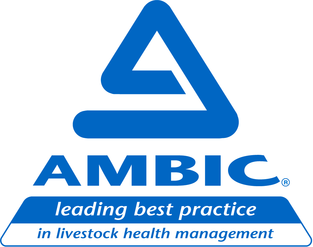 Ambic