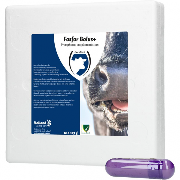 Holland Animal Care Phosphor Bolus + 12 Stück (à 123g) Holland Animal Care Phosphor Bolus + 12 Stück (à 123g)