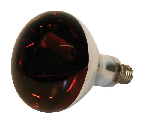 Hartglas-Infrarotlampe rot, 250 Watt