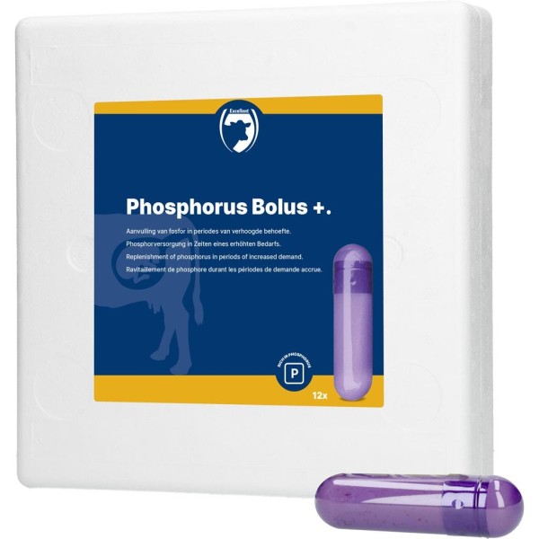 Holland Animal Care Phosphor Bolus + 12 Stück (à 123g) Holland Animal Care Phosphor Bolus + 12 Stück (à 123g)