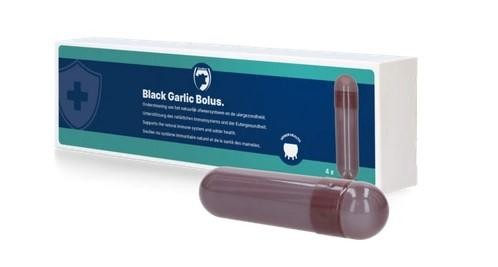 Holland Animal Care Black Garlic Bolus - 4 Stück (à 48g)